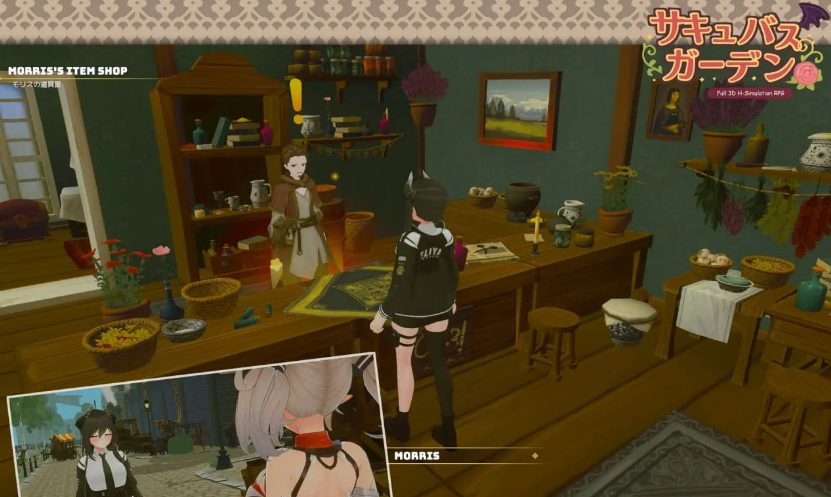 【PC/AI汉化/3D/动作游戏/785M】魅惑的恶魔花园 Ver1.4.0AI汉化版+魅魔+3D动作游戏+785M