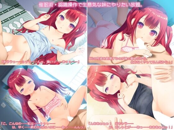 新作[日式SLG] 让傲慢妹妹闭嘴的唯一绝妙方法 生意気な妹を黙らせるたった一つの冴えた方法 AI汉化版 [560M]