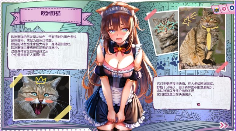 【PC/官中/日式/SLG游戏/2.70G】 猫娘百科:寻找她的小尾巴 (Nekopedia: Find Her Tail) 官中步兵版+存档+日式SLG游戏+2.70G